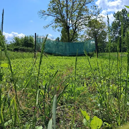 Land For Your Tent Next To A River With A Garden Shack Get Two Bicycles And Two Water Floats Use The Pinpoint Location Not The Address To Get Here Bathroom Is A Bit Different So Check Youtube Video Riverrundusko Open Showers In A Nearby Camp Kemping Lublana