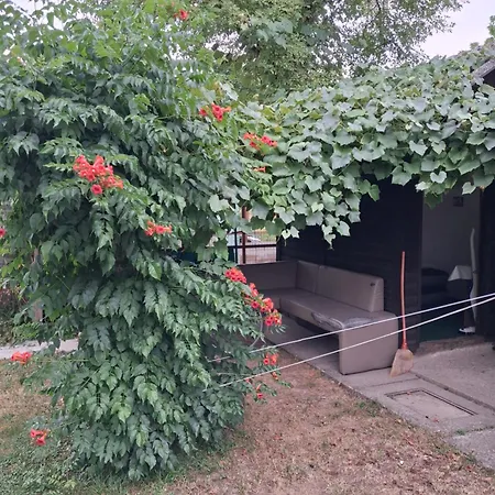 Garden House Room Next To A River With Additional Land For Your Tent You Get Two Bicycles For Amazing Views And Two Water Floats For A Mega River Run Personal Guidance Use The Location Not The Address To Get There Check Youtube Video Riverrundusko Lubiana
