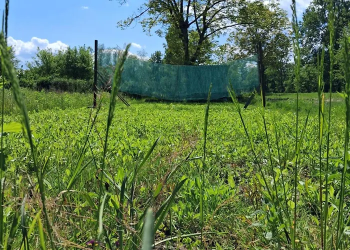 Land For Your Tent Next To A River With A Garden Shack Get Two Bicycles For Amazing Views And Two Water Floats For A River Run Use The Location Not The Address To Get Here Bathroom Is A Bit Different So Check Youtube Video Riverrundusko Kamp Ljubljana