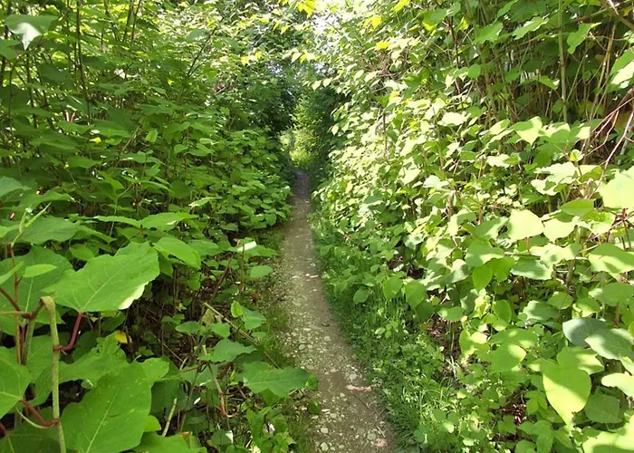 Land For Your Tent Next To A River With A Garden Shack Get Two Bicycles And Two Water Floats Use The Pinpoint Location Not The Address To Get Here Bathroom Is A Bit Different So Check Youtube Video Riverrundusko Open Showers In A Nearby Camp Kemp Lublaň