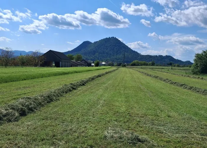 Land For Your Tent Next To A River With A Garden Shack Get Two Bicycles And Two Water Floats Use The Pinpoint Location Not The Address To Get Here Bathroom Is A Bit Different So Check Youtube Video Riverrundusko Open Showers In A Nearby Camp Kemp