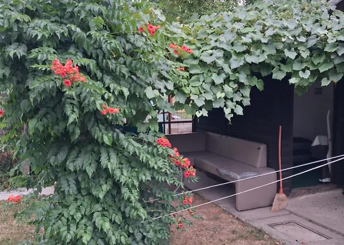 Land For Your Tent Next To A River With A Garden Shack Get Two Bicycles For Amazing Views And Two Water Floats For A River Run Use The Location Not The Address To Get Here Bathroom Is A Bit Different So Check Youtube Video Riverrundusko Lublaň