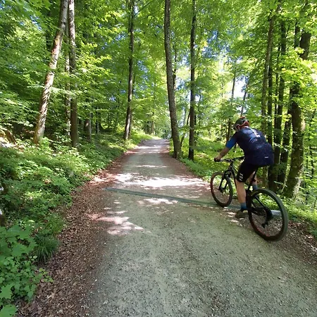 Land For Your Tent Next To A River With A Garden Shack Get Two Bicycles For Amazing Views And Two Water Floats For A River Run Use The Location Not The Address To Get Here Bathroom Is A Bit Different So Check Youtube Video Riverrundusko Кемпінг *